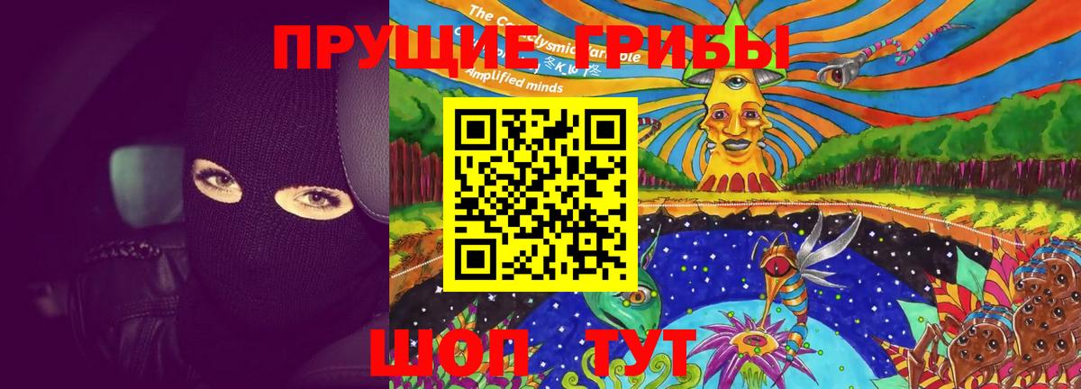 Галлюциногенные грибы MAGIC MUSHROOMS Кулебаки