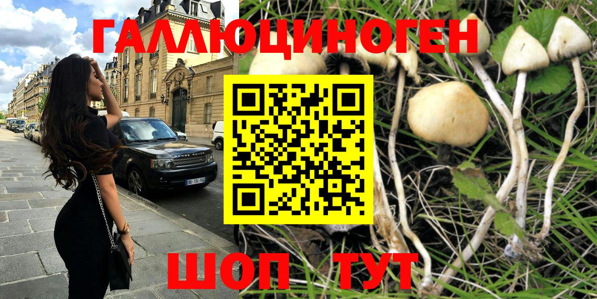 Псилоцибиновые грибы Magic Shrooms  Псилоцибиновые грибы прущие грибы  Вход с VPN  Кулебаки 